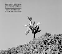 Sylvain Chauveau - Down to the Bone
